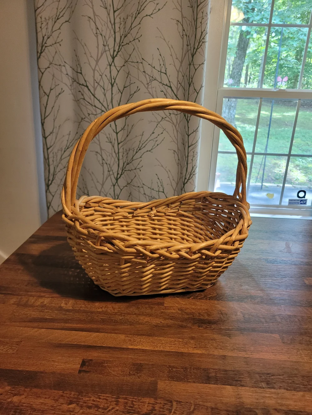 Woven Decorative Basket with Handle - Natural Tan